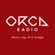 ORCA RADIO #243 Mixed By Ni-MI from 3rd Stage image