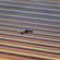 Lukid - 26th October 2020 image