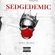 Sedgedemic - 30/01/2020 image