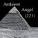 Ambient-Angel (221) image