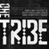 trzeszczy - 2021.07.03 live @ one tribe [TK] image