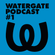 Watergate Podcast #1 - Ruede Hagelstein image