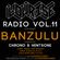 LowRise Radio #11 BANZULU image