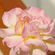 Bells & Flutes for Sleep and Meditation by Paul Asbury Seaman image