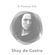 B+Podcast 336 Shay De Castro image