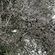 Adam Wilson's Quiet Revolution 8 December 2020 image