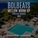 BOLBEATS 5 WARM UP MIX, PART TWO (MELLOW POOLSIDE SOUNDS) image