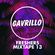 GAVRILLO FRESHERS MIXTAPE 2013 image