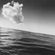 sharon schael - xperimental I - February 2009 image