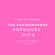 #The Chainsmokers/Closer,Takeaway,Roses,NewYork City,Family/POPHOUSE HIT'S/1 LIVE DJ SESSION/Feb2020 image