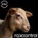 Radiocontrol @ Era Electronica 2017 (Opening Set) image