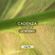 Cadenza Podcast | 126 - Joeski (Cycle) image