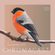 Chromacast 50 - Placebo eFx image