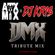 DJ KRIS - DMX MIX - RIP DMX - TRIBUTE MIX image