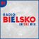 Radio BIELSKO In The Mix image