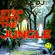 Recall DJ: Step Into The Jungle (169 bpm) - 90's Style Rave Music (Jungle, DnB, New Hardcore)! image