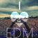 SUMMER 2014 EDM MIX image