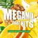Megamix Chart Hits 2021 Compiled & Mixed By DJ FlimFlam image