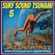 SURF SOUND TSUNAMI 5= The Surfaris, Dick Dale, Ventures, Trashmen, PJ & Artie, Avengers VI, Chantays image