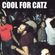 Cool for Catz image