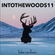 IntoTheWoods11 image
