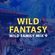 Wild Family Mix 9 - Wild Fantasy (Recorded at Patterns 1st June 2019) image