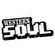 Western Soul Spring Mix by Alexander image