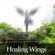 Episode2 - Healing Wings image