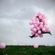 Wonderland Mixtape #01 image