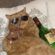  Kishan Impossible V mikeOK (Super Scary Shindig drunken cat promo mix) image
