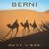 Berni - Dune Vibes image