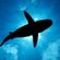 Deep Blue Sea (Minimal/Deep Tech) image