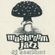 DJ Heather- 'Hydro' Mushroom Jazz mixtape- 1997 image