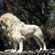 Misja Xampl - Be Like A Lion image