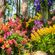 Mixmaster Morris - Garden of Flowers image
