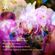 Hakkasan Deep Podcast #045 image