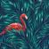 TROPICAL AFRO-LATIN VIBEZZ!!! image