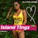 ISLAND TINGZ image