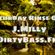 DirtyBass.FM: "Saturday Rinse Out Episode 010" (Jumpin' Sound) image