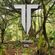 Topstonizer #146 image