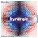 Raidho - Synergia (M.Age.Project Remix) Camel Vip Records image