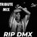 DMX Tribute Mix image