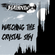Watching The Crystal Sky image