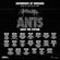 Nic Fanciulli - Live @ Ants Ushuaia Ibiza - 08-SEP-2018 image