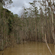 Rio Doce - 7th May 2021 image