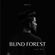 BLIND FOREST Live Set image