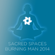 Dubvirus live at Sacred Spaces - Burning Man 2014 image