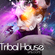 DJ JP B2B ARLEKS - SET TRIBAL HOUSE (INVADING_LIMA_II_29-12-18) image