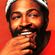 Marvin Gaye "The Singles" image