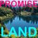 PROMISE LAND (DISCO EDITS MIX) image